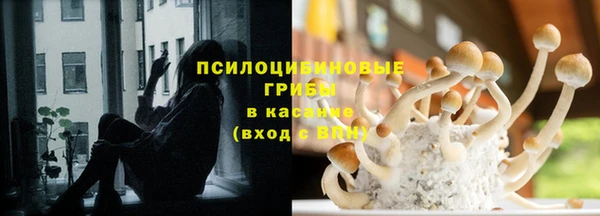 герыч Алексин