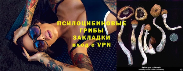 герыч Алексин