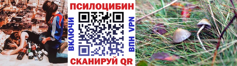 Псилоцибиновые грибы мицелий  где продают   Красногорск 